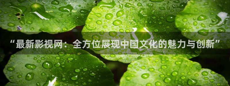 我是刑警金牌影院：“最新影视网：全方位展现中国文化的魅力与创新”