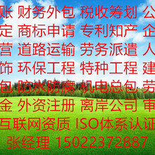成都杨氏信息公司 建筑工程领域的数字化先锋