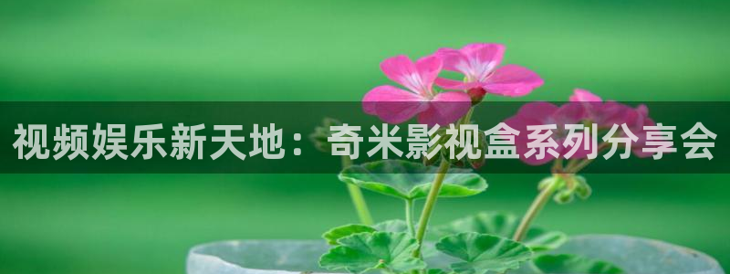 金牌影视电视剧：视频娱乐新天地：奇米影视盒系列分享会