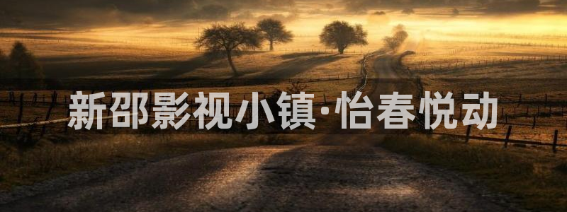 金牌影音