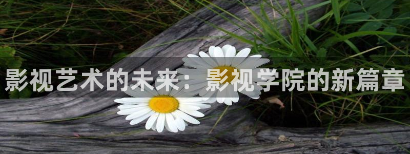 金牌影