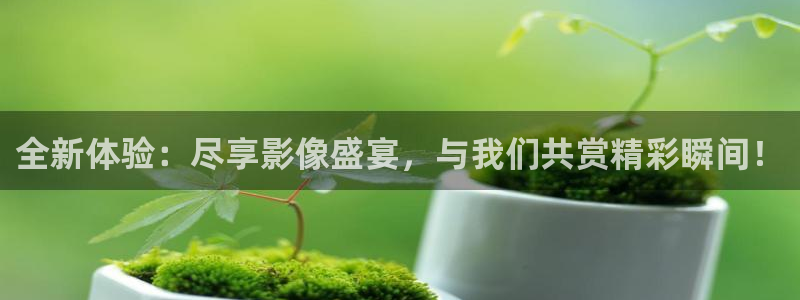 金牌影院电视剧观看