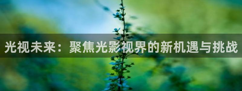 金牌特勤队 电影