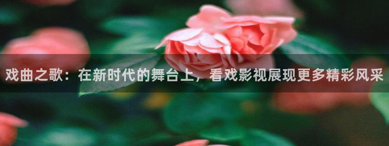金牌影院在线：戏曲之歌：在新时代的舞台上，看戏影视展现更多精彩风采