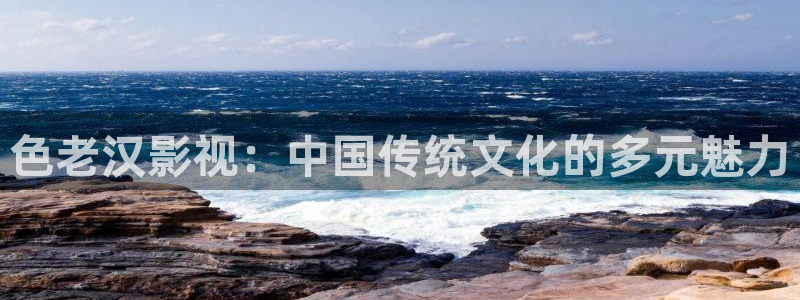 金牌特勤队电影免费播放：色老汉影视：中国传统文化的多元魅力