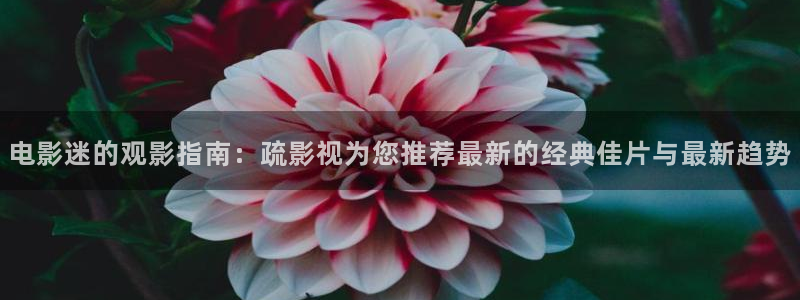 金牌影视电视剧在线观看2024：电影迷的观影指南：疏影视为您推荐最新的经典佳片与最新趋势