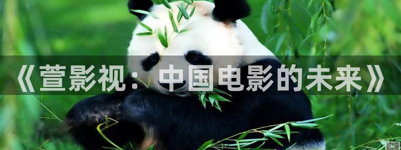 播放金牌影院：《萱影视：中国电影的未来》